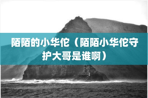 陌陌的小华佗(陌陌小华佗守护大哥是谁啊) 陌陌的小华佗(陌陌小华佗守护大哥是谁啊)