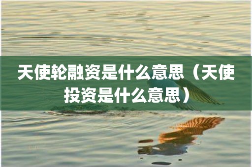 天使轮融资是什么意思（天使投资是什么意思）