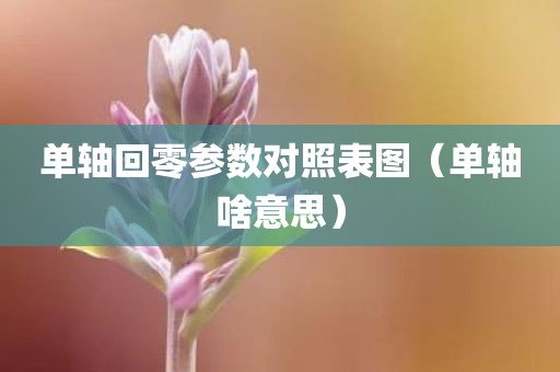单轴回零参数对照表图（单轴啥意思）