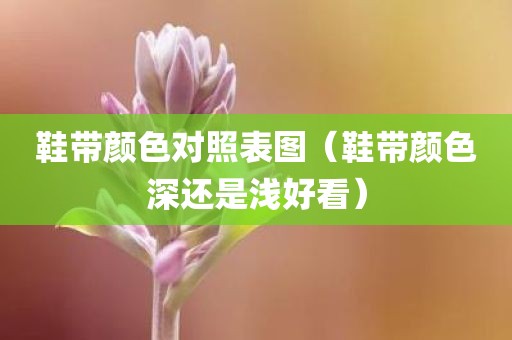 鞋带颜色对照表图（鞋带颜色深还是浅好看）