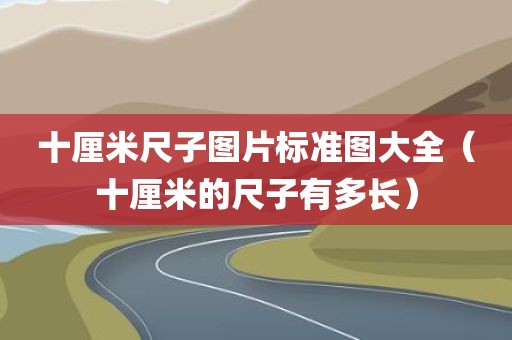 十厘米尺子图片标准图大全（十厘米的尺子有多长）