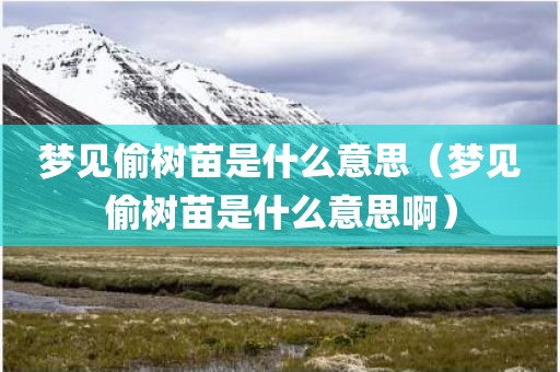 梦见偷树苗是什么意思(梦见偷树苗是什么意思啊)