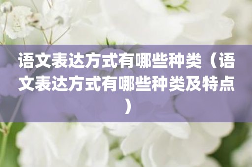 语文表达方式有哪些种类（语文表达方式有哪些种类及特点）