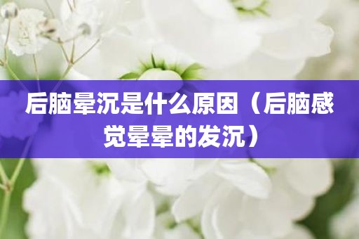 后脑晕沉是什么原因（后脑感觉晕晕的发沉）