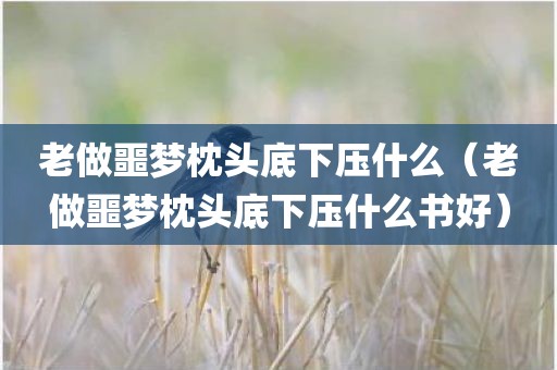 老做噩梦枕头底下压什么（老做噩梦枕头底下压什么书好）