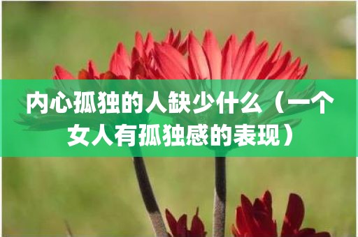 内心孤独的人缺少什么（一个女人有孤独感的表现）