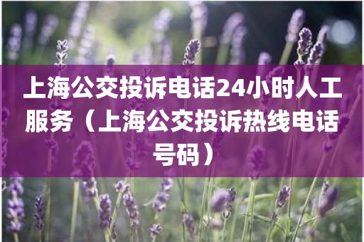 上海公交投诉电话24小时人工服务(上海公交投诉热线电话号码) 上海公交投诉电话24小时人工服务(上海公交投诉热线电话号码)