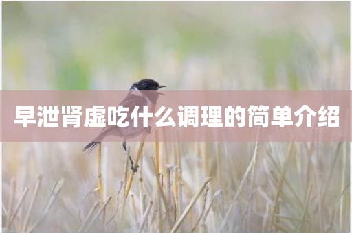 早泄肾虚吃什么调理的简单介绍