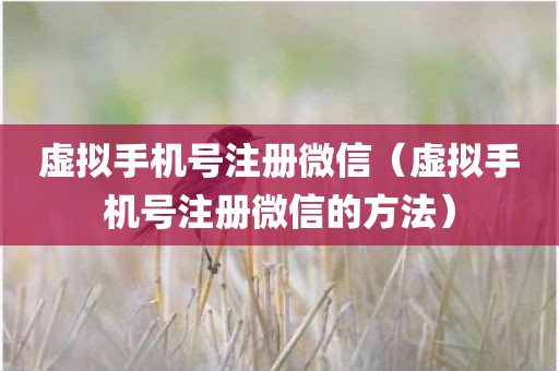虚拟手机号注册微信（虚拟手机号注册微信的方法）