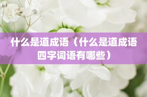 什么是道成语(什么是道成语四字词语有哪些)