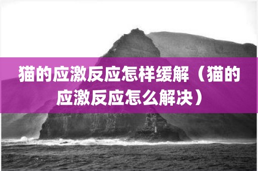 猫的应激反应怎样缓解（猫的应激反应怎么解决）