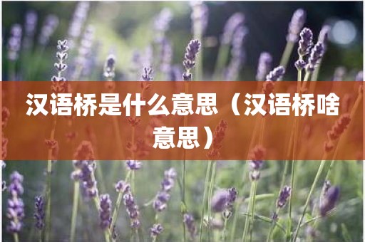 汉语桥是什么意思（汉语桥啥意思）