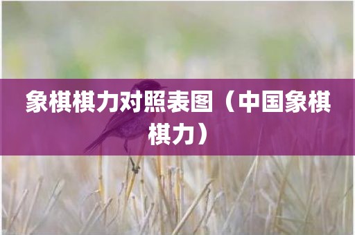 象棋棋力对照表图（中国象棋棋力）