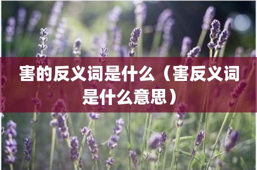 害的反义词是什么（害反义词是什么意思）
