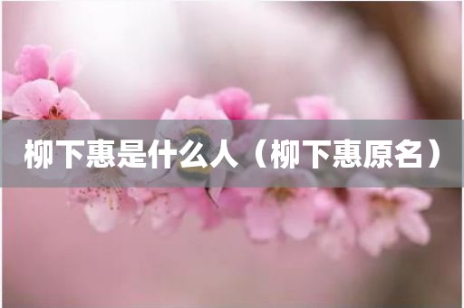 柳下惠是什么人（柳下惠原名）