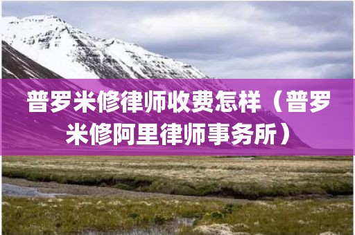 普罗米修律师收费怎样（普罗米修阿里律师事务所）