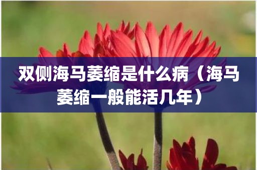 双侧海马萎缩是什么病（海马萎缩一般能活几年）