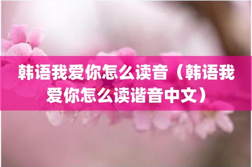 韩语我爱你怎么读音（韩语我爱你怎么读谐音中文）