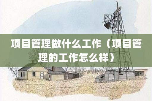 项目管理做什么工作（项目管理的工作怎么样）