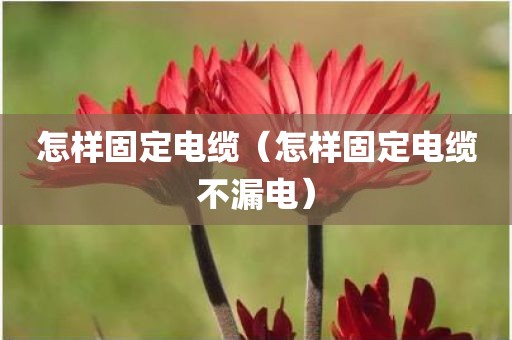 怎样固定电缆（怎样固定电缆不漏电）