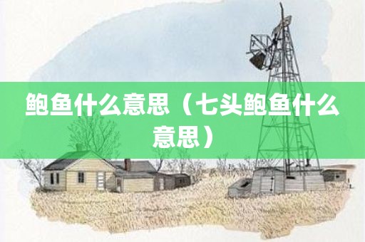 鲍鱼什么意思（七头鲍鱼什么意思）