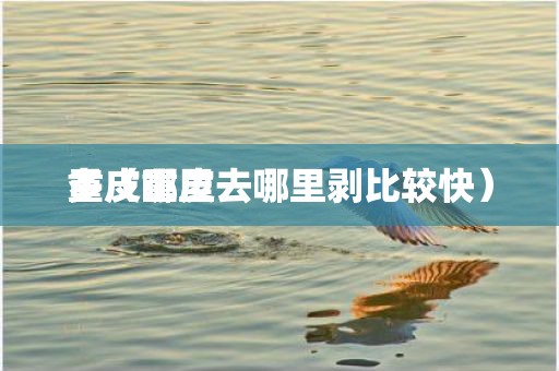 重皮哪里多（重皮去哪里剥比较快）
