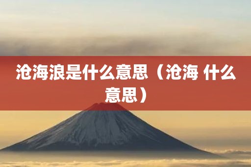沧海浪是什么意思（沧海 什么意思）