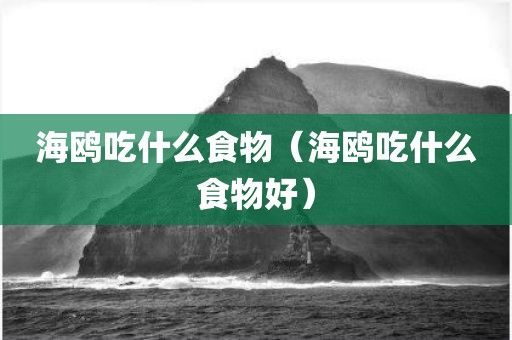 海鸥吃什么食物（海鸥吃什么食物好）