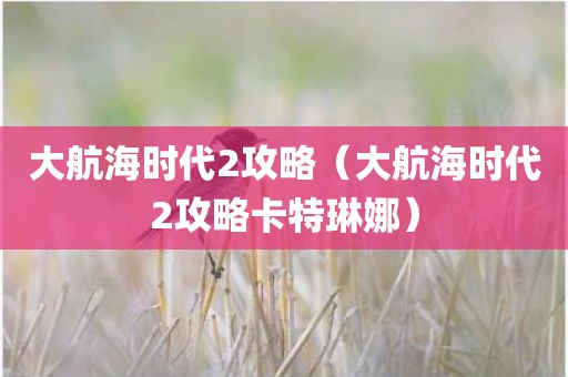 大航海时代2攻略（大航海时代2攻略卡特琳娜）