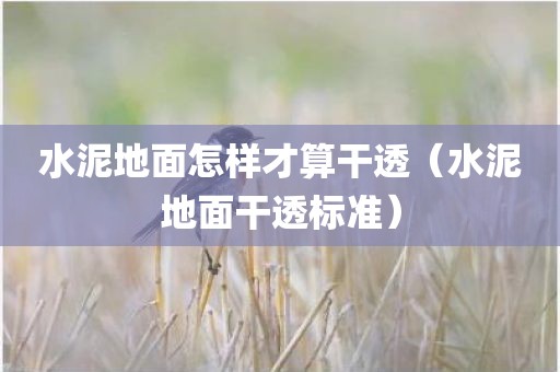 水泥地面怎样才算干透（水泥地面干透标准）
