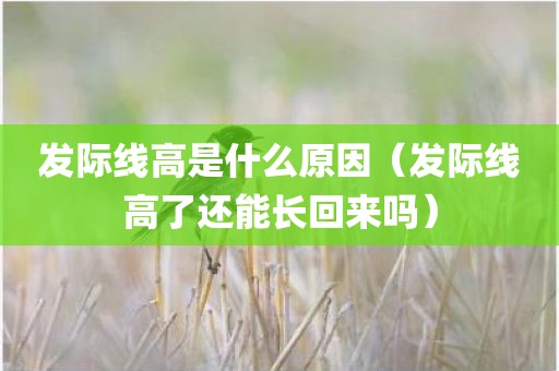 发际线高是什么原因（发际线高了还能长回来吗）
