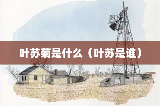 叶苏菊是什么（叶苏是谁）