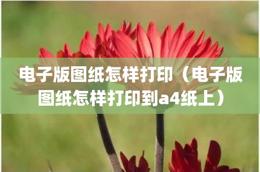 电子版图纸怎样打印（电子版图纸怎样打印到a4纸上）