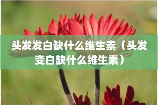头发发白缺什么维生素（头发变白缺什么维生素）
