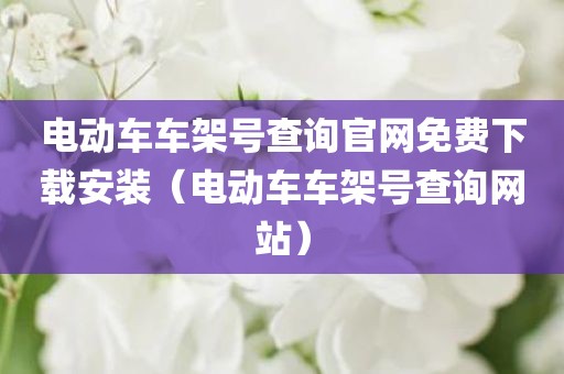 电动车车架号查询官网免费下载安装（电动车车架号查询网站）