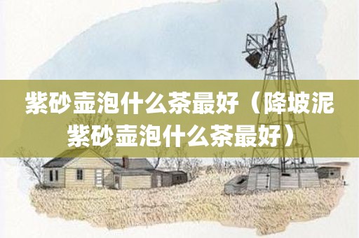 紫砂壶泡什么茶最好（降坡泥紫砂壶泡什么茶最好）