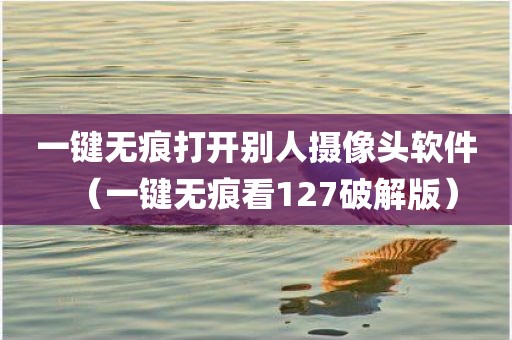 一键无痕打开别人摄像头软件（一键无痕看127破解版）