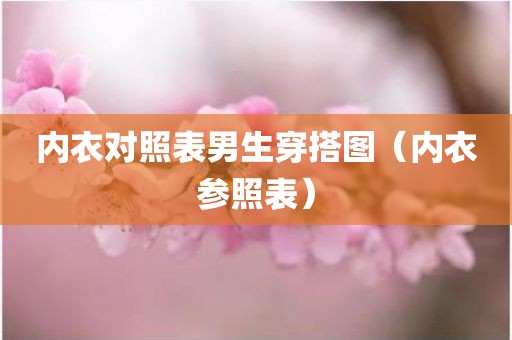 内衣对照表男生穿搭图（内衣参照表）