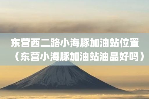 东营西二路小海豚加油站位置（东营小海豚加油站油品好吗）