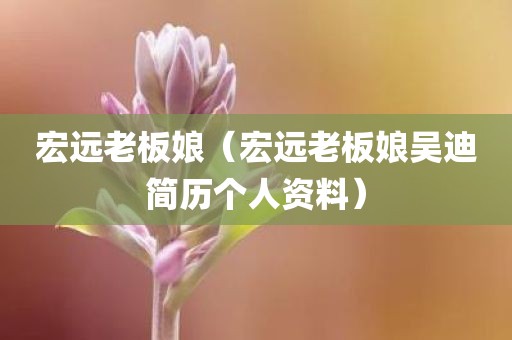 宏远老板娘(宏远老板娘吴迪简历个人资料)