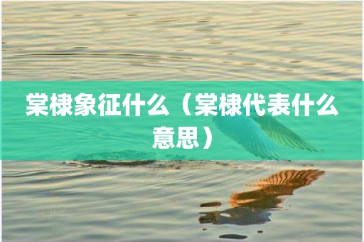 棠棣象征什么（棠棣代表什么意思）