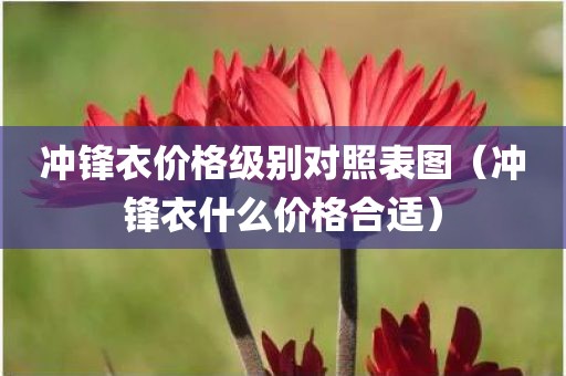 冲锋衣价格级别对照表图（冲锋衣什么价格合适）