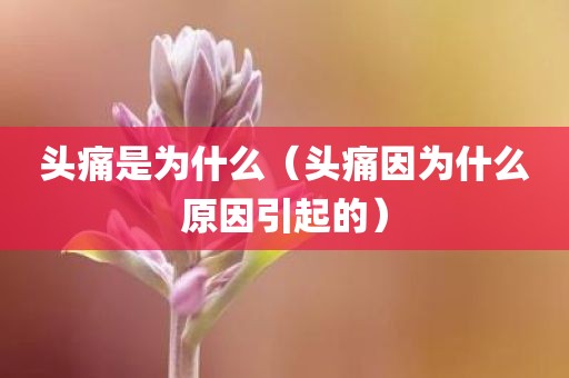 头痛是为什么（头痛因为什么原因引起的）