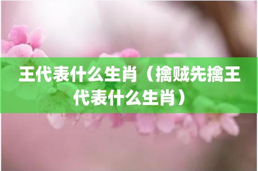 王代表什么生肖（擒贼先擒王代表什么生肖）