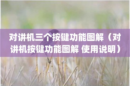 对讲机三个按键功能图解(对讲机按键功能图解 使用说明) 对讲机三个按键功能图解(对讲机按键功能图解 使用说明)