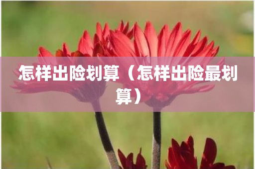 怎样出险划算（怎样出险最划算）