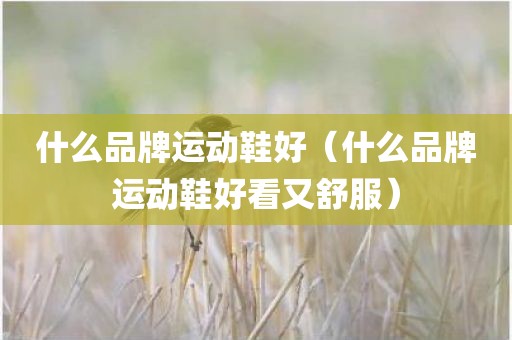 什么品牌运动鞋好（什么品牌运动鞋好看又舒服）