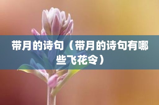 带月的诗句（带月的诗句有哪些飞花令）