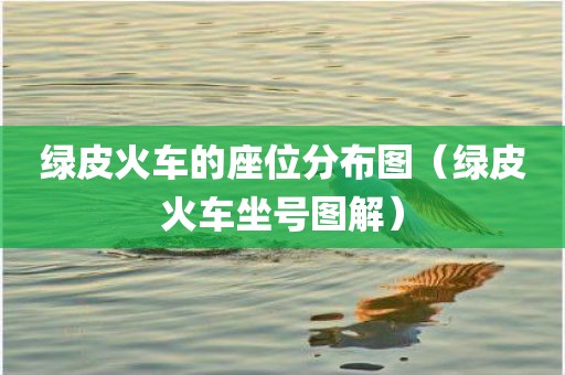 绿皮火车的座位分布图（绿皮火车坐号图解）