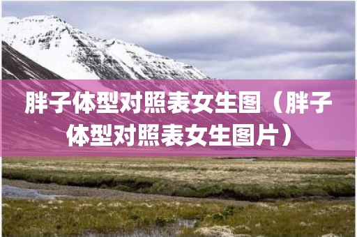 胖子体型对照表女生图（胖子体型对照表女生图片）